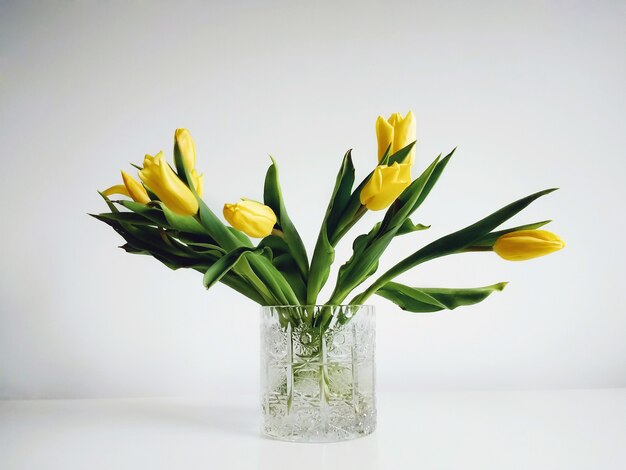 Букет желтых тюльпанов в вазе под огнями на белом фоне.