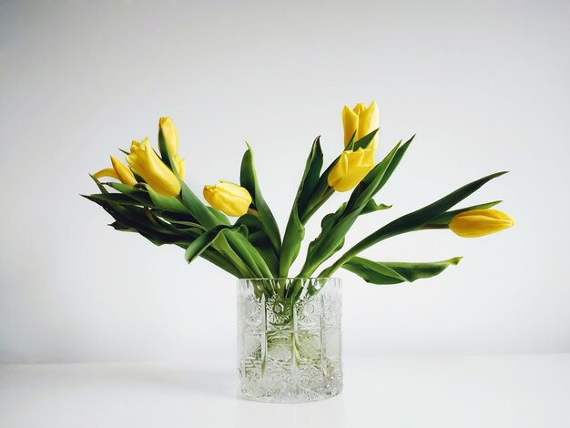 Bouquet of yellow tulips in a vase under the lights against a white