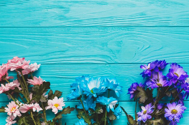 Bouquets of colorful daisies