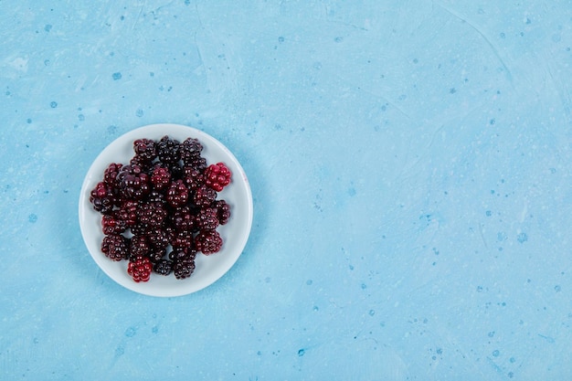 Free photo a bowl of blackberries on blue.