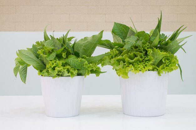 A Bowl of Delicious Fresh Green Lettuce Leaves on White table.