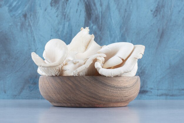 Bowl of delicious organic oyster mushrooms on colorful background,. 