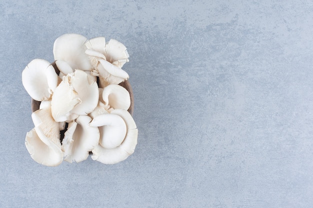 Bowl of fresh oyster mushroom on grey background. 