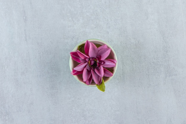 Foto gratuita una ciotola di fiori viola, sul tavolo bianco.
