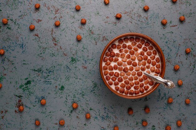 Bowl with chocolate balls and milk, top view