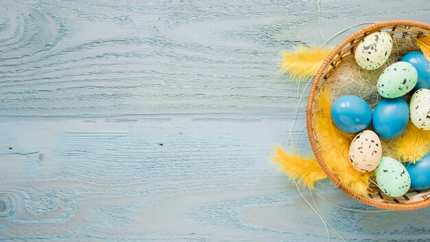 Bowl with eggs and feathers