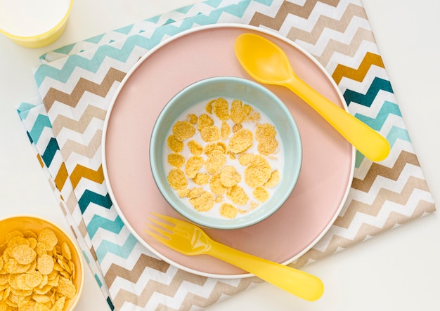 Bowl with oat flakes and milk