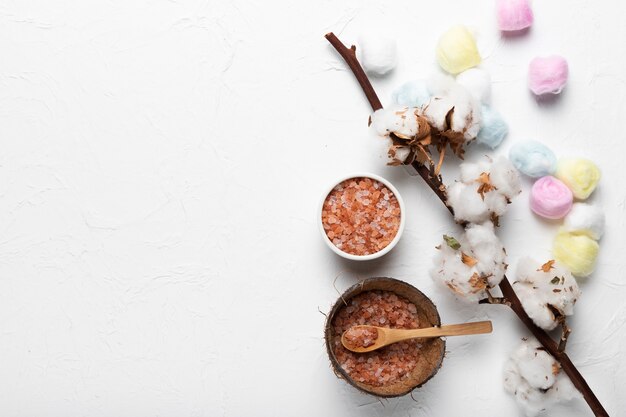 Bowls with natural salt and cotton branch