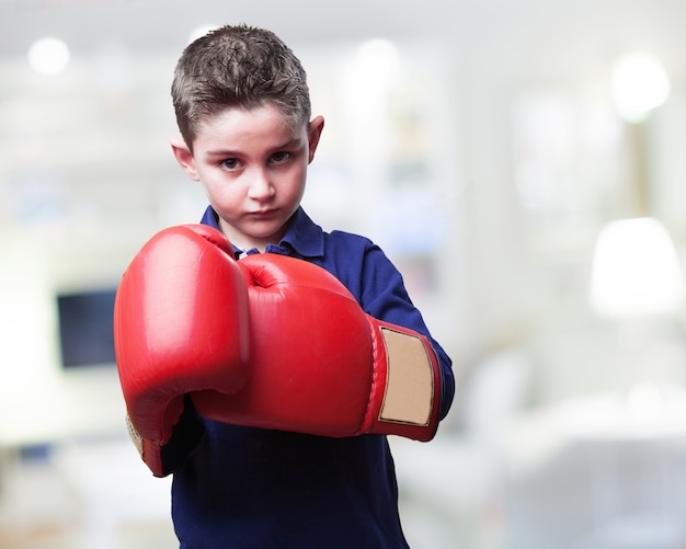 Free photo boxer kid