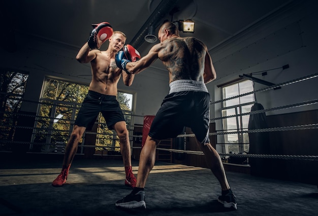 Боксер с татуированной спиной атакует другого боксера на ринге во время тренировки.