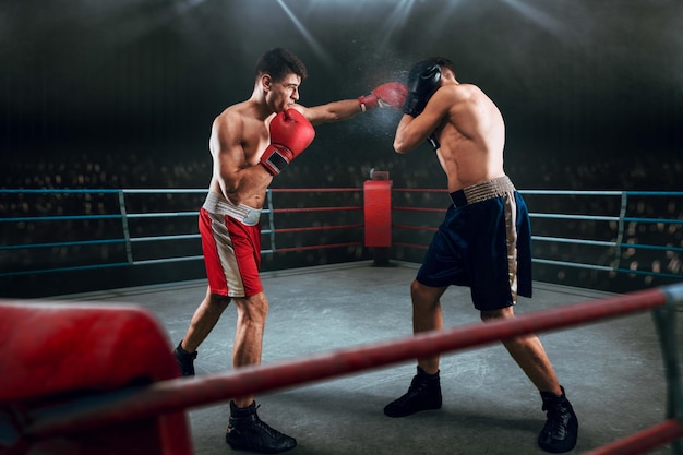 Free photo boxers man fighting in ring