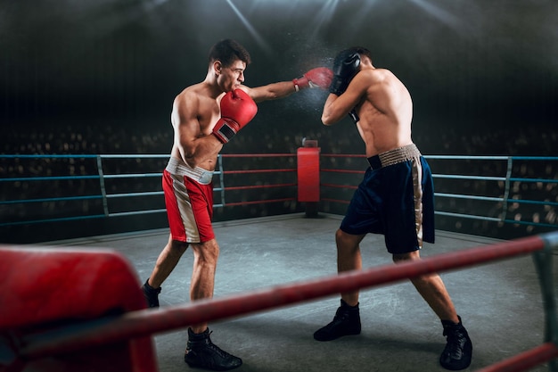 Foto gratuita pugili uomo che combatte sul ring