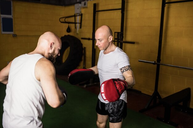 Boxers practicing boxing in the fitness studio