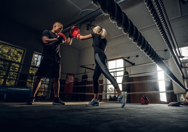 Boxing trainer and his new student have a sparring on the ring wearing boxing gloves.