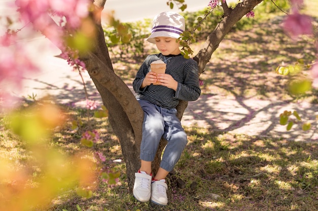 Boy outdoor sitting in tree