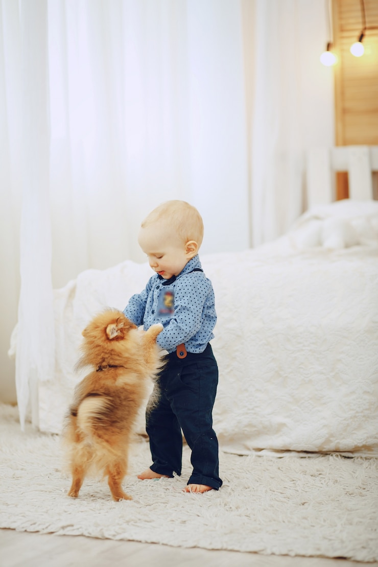 Free Photo boy with dog