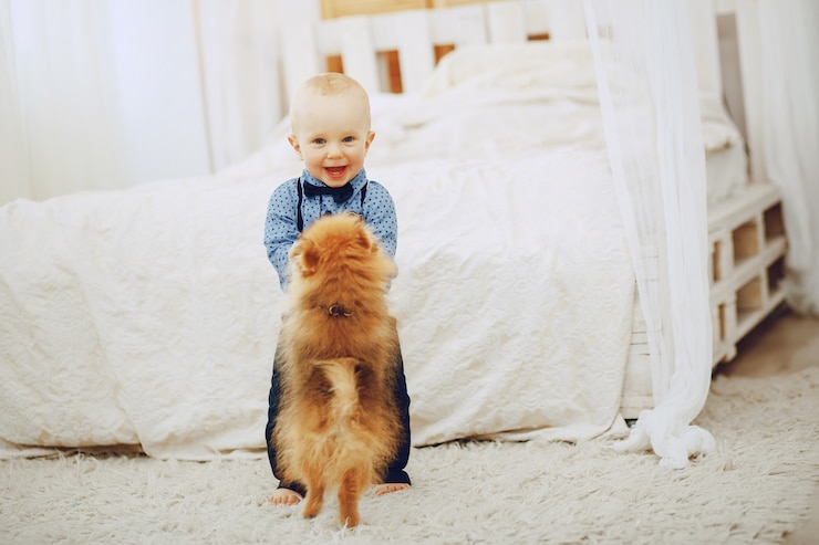 Free Photo boy with dog