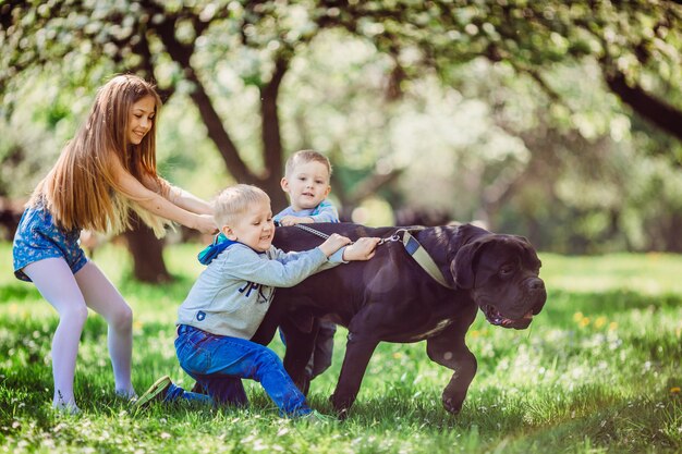 The boys ang girl standing near dog in the park