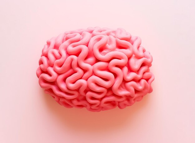 A brain made of pink plasticine on a light pink surface