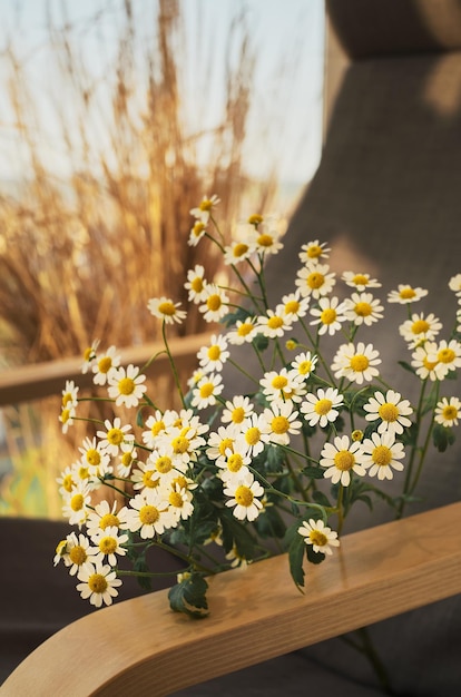 Branch of chamomile flowers on the armrest of a chair closeup selective focus home interior ideas