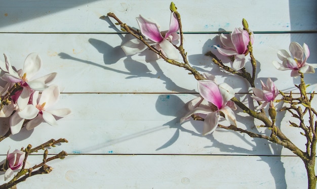 A branch of lilies on a rustic white wooden wall