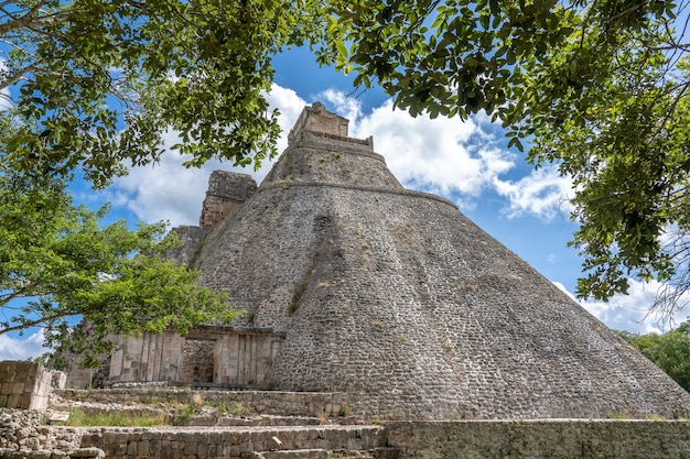 Branch of a tree and large ancient building