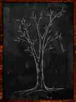 Free photo branch tree sketch on blackboard