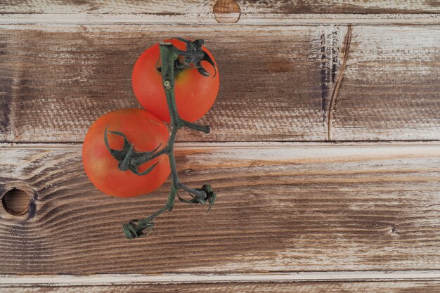 Branch with tomatoes