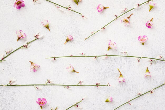 Branches of flowers on table