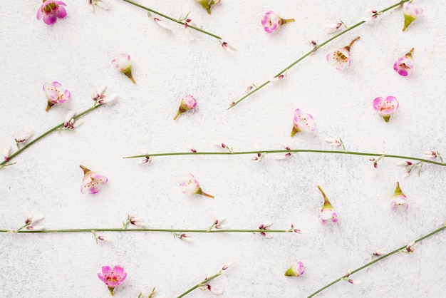 Branches of flowers on table