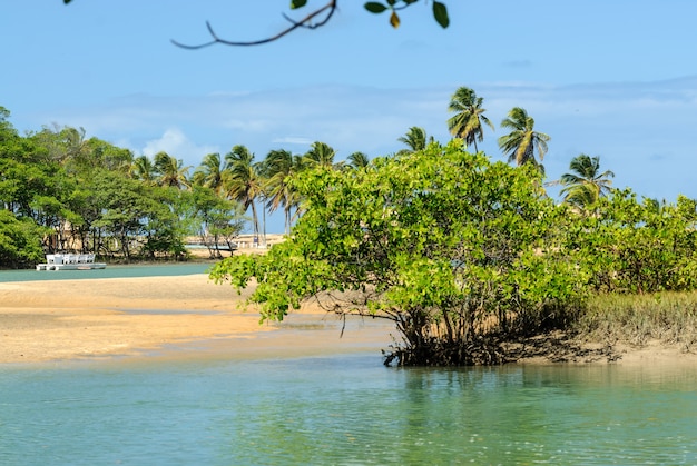 Бразильский пляж и ангров на пляже барра-де-камаратуба недалеко от жоао-песоа-параиба, бразилия