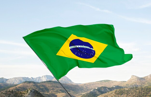 ブラジルの国旗の構成