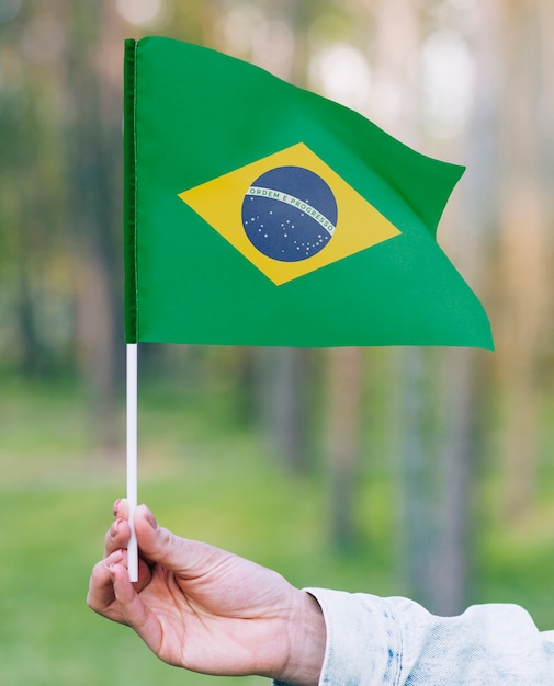 Free photo brazilian flag composition