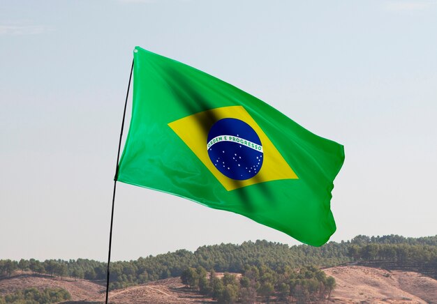 Composizione della bandiera brasiliana