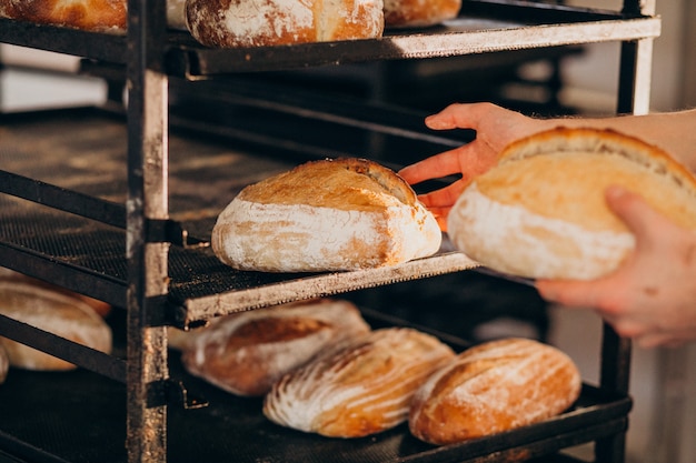 Free photo bread baking industry, tasty pastry