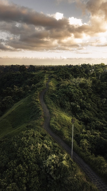 Breathtaking aerial view of tropical forests in vibrant green