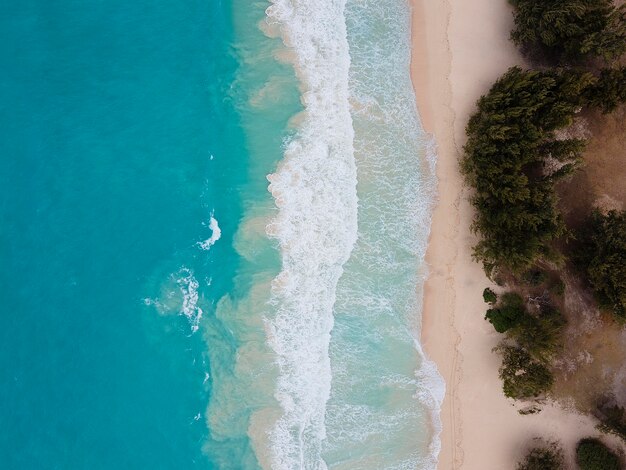 Breathtaking hawaii landscape with ocean