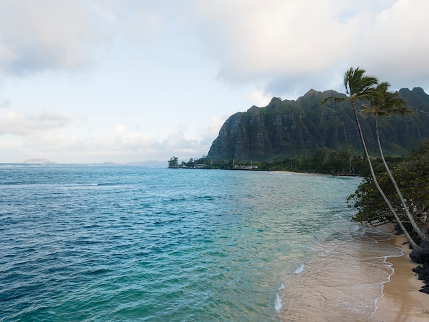 Бесплатное фото Захватывающий пейзаж гавайев с океаном