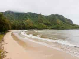 Free photo breathtaking hawaii landscape with the sea