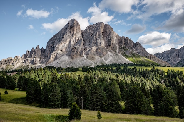 Breathtaking landscape shot of a beautiful white mountain with evergreen tree forest at its base