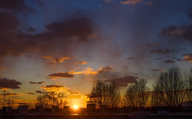 Breathtaking scenery of the sunset in the cloudy sky and silhouettes of trees in Zagreb, Croatia