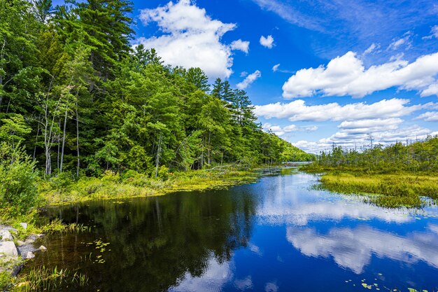 Breathtaking shot of a clear lake with the reflection of vibrant trees and the blue sky