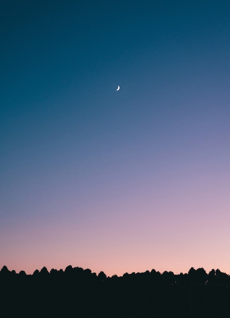 Breathtaking shot of a crescent moon in the middle of a blue sky with silhouettes of trees below