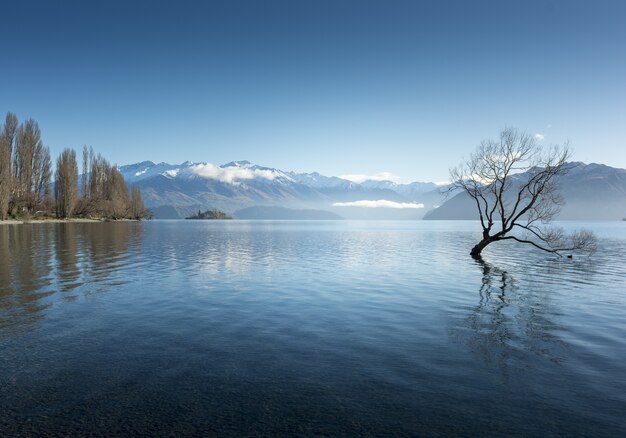 ニュージーランド、ワナカ村のワナカ湖の息を呑むようなショット
