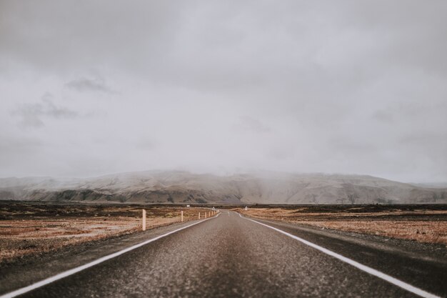 Breathtaking shot of the road surrounded by amazing nature under a cloudy sky