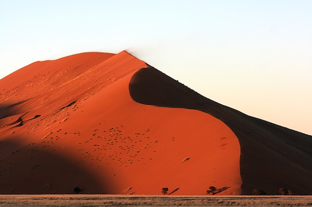 나미비아의 햇빛 아래 Sossusvlei 사막의 모래 언덕의 숨막히는 샷