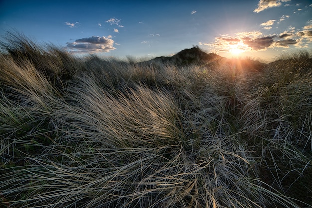 Breathtaking sunset over the autumn field under the clear sky