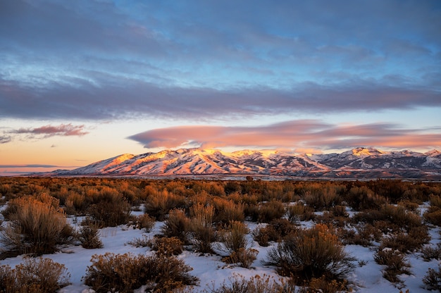 Breathtaking sunset over the Little Cedar Mountain in Nevada