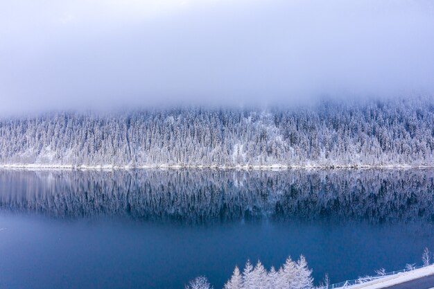 안개가 자욱한 하늘 아래 잔잔한 호수가있는 아름다운 눈 덮인 나무의 숨막히는 전경