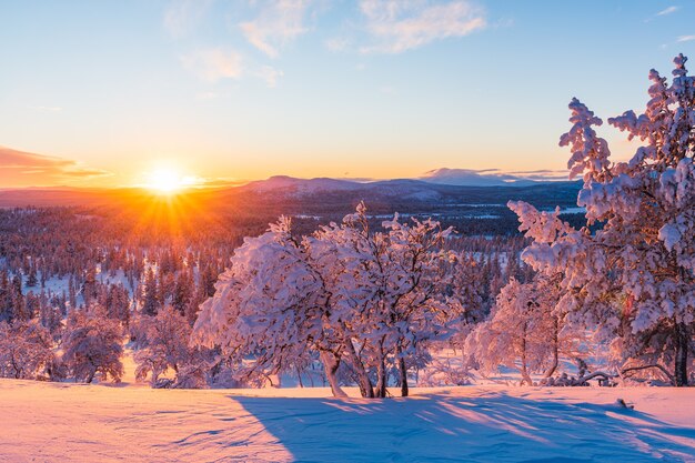 A breathtaking view of a forest covered with snow during sunset in Norway